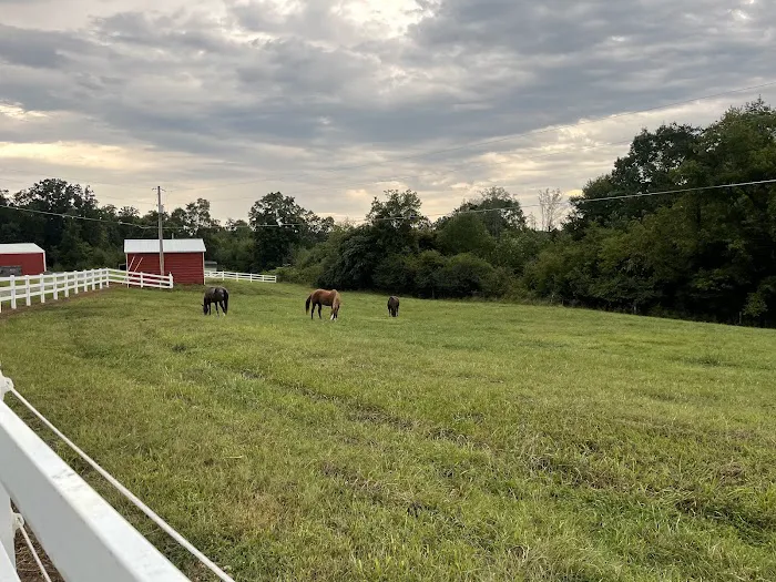 Latitude 36 Mobile Veterinary Picture 1