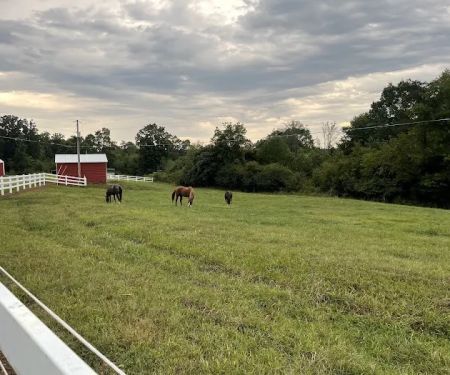 Latitude 36 Mobile Veterinary