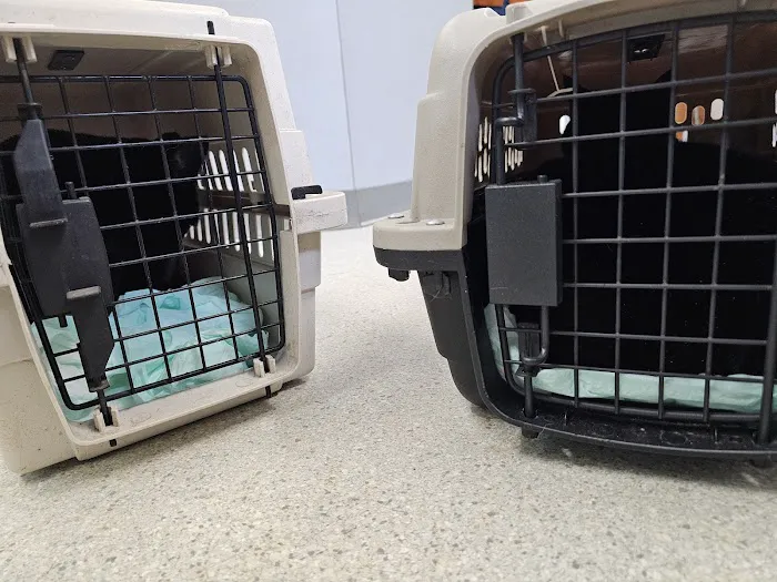 Blue Ridge Veterinary Hospital Picture 4