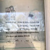 Elmwood Vet Clinic ico