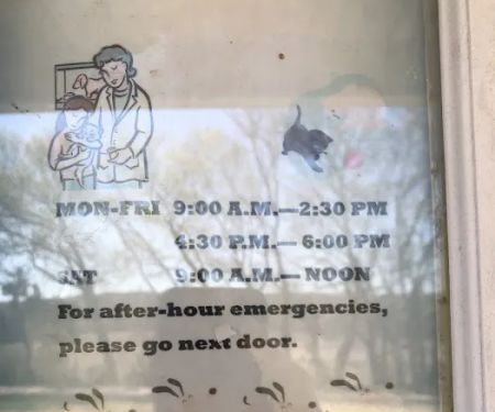 Elmwood Vet Clinic