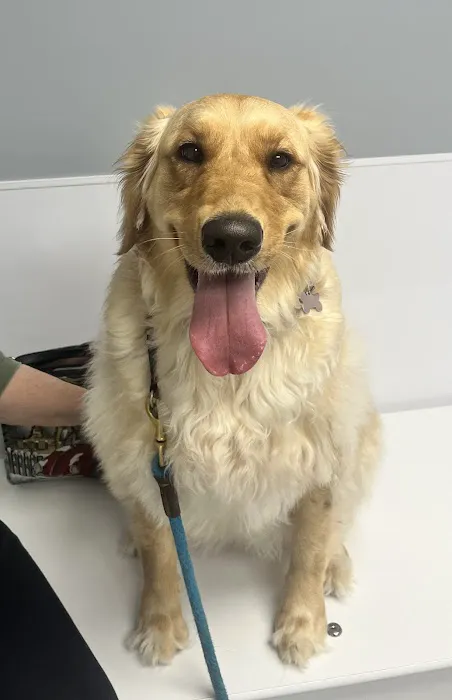 Hightowers Animal Hospital Picture 10
