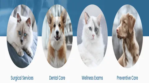 Ruckersville Animal Hospital Picture 1