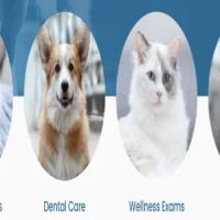 Ruckersville Animal Hospital ico