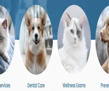 Ruckersville Animal Hospital