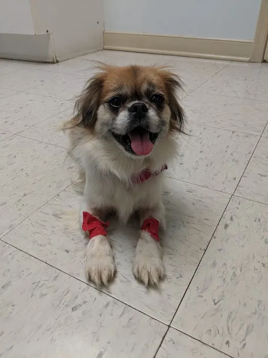 Ruckersville Animal Hospital Picture 10