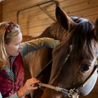 Riverbend Equine Veterinary Services ico
