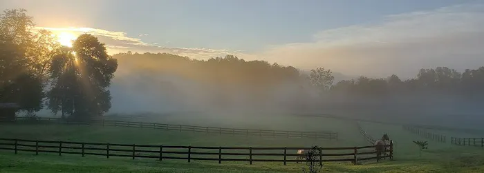 Riverbend Equine Veterinary Services Picture 4