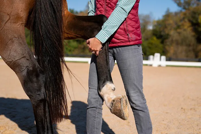 Riverbend Equine Veterinary Services Picture 5