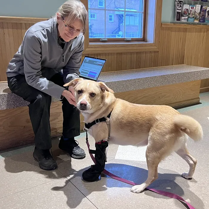 Mantua Veterinary Clinic Picture 7