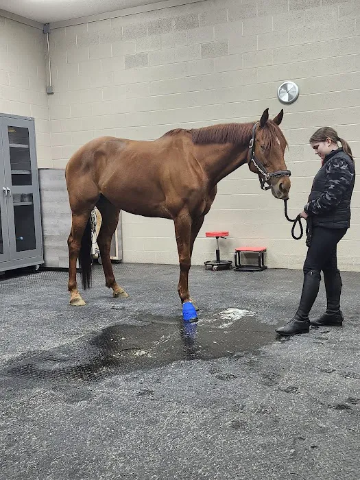 Cleveland Equine Clinic Picture 1