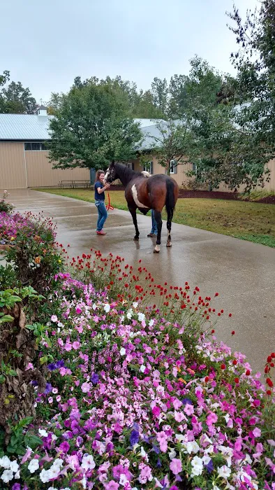 Cleveland Equine Clinic Picture 7