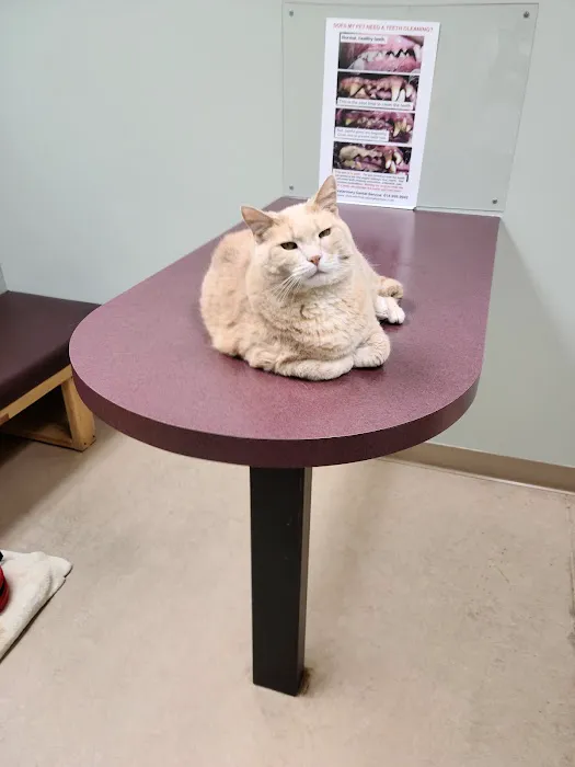 TLC Pet Hospital Picture 5