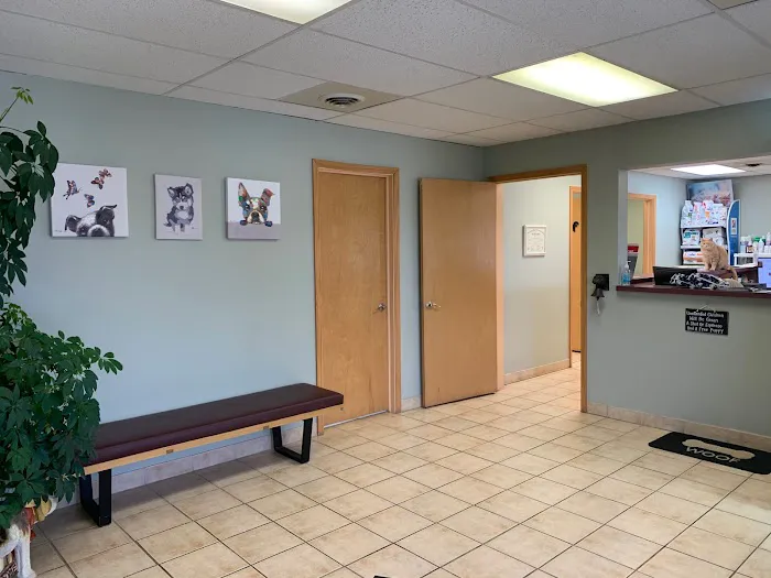 TLC Pet Hospital Picture 8