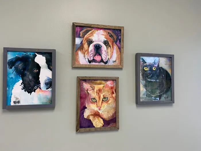 TLC Pet Hospital Picture 9