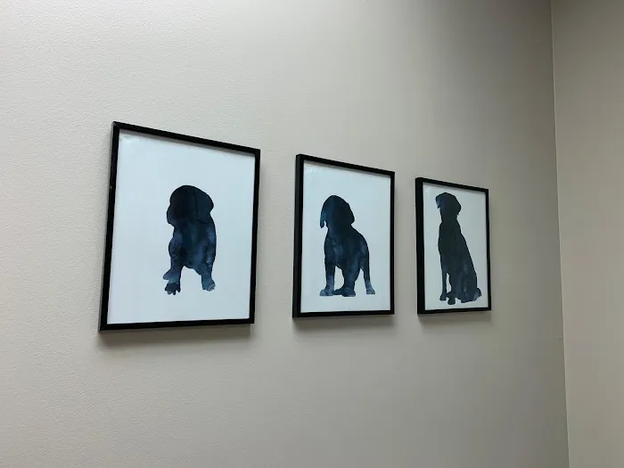 TLC Pet Hospital Picture 6