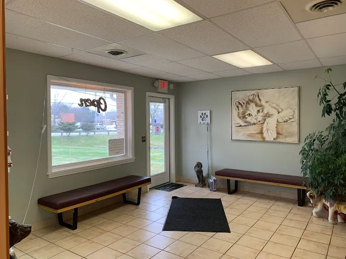 TLC Pet Hospital Picture 10