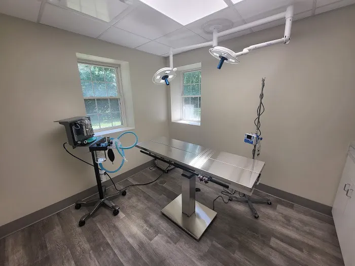 Family Paws Animal Hospital Picture 7