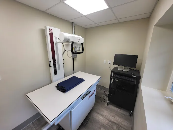 Family Paws Animal Hospital Picture 10