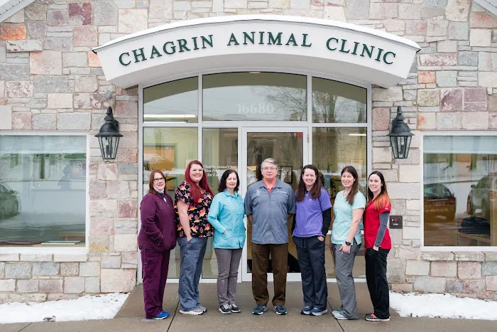 Chagrin Animal Clinic Inc Picture 4