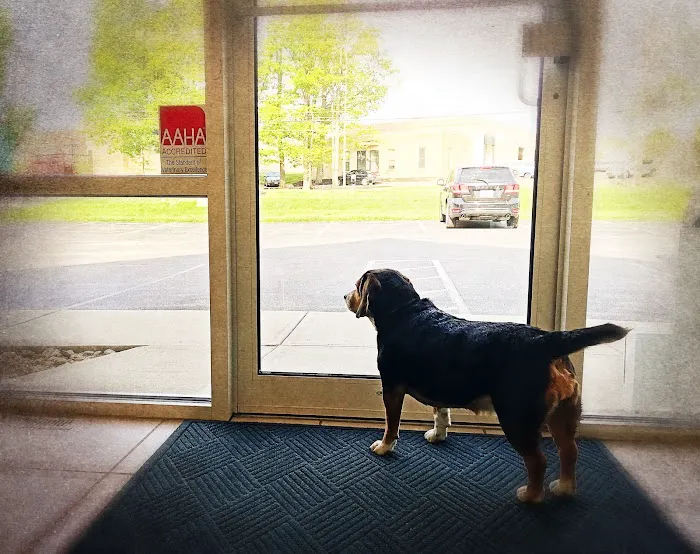 Chagrin Animal Clinic Inc Picture 5