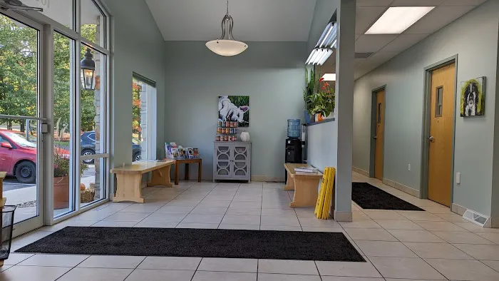 Chagrin Animal Clinic Inc Picture 3