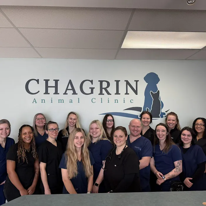Chagrin Animal Clinic Inc Picture 1