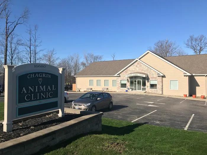 Chagrin Animal Clinic Inc Picture 6