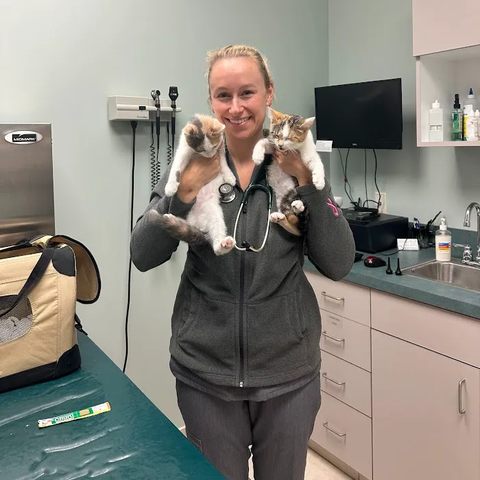 Chagrin Animal Clinic Inc Picture 8