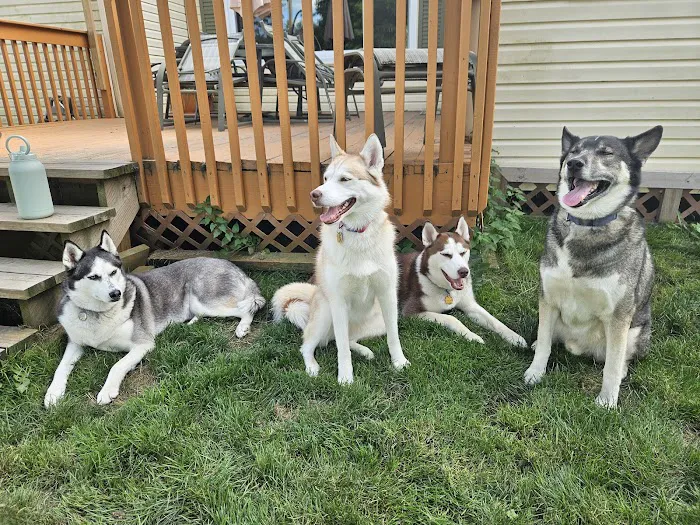 Chagrin Valley Veterinary Clinic Picture 2
