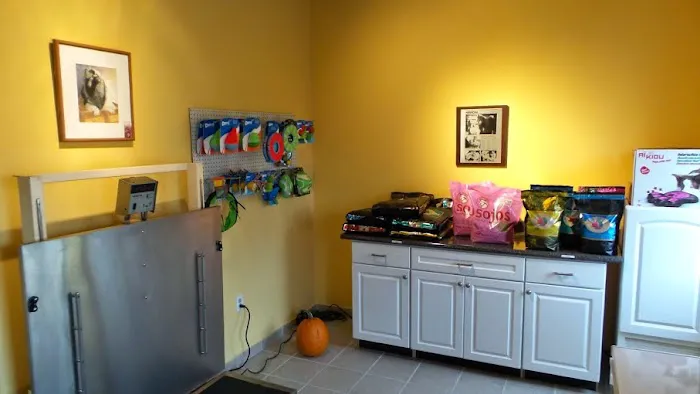 Chagrin Falls Pet Clinic & Veterinary Center Picture 3