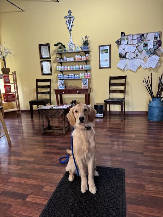 Chagrin Falls Pet Clinic & Veterinary Center Picture 8
