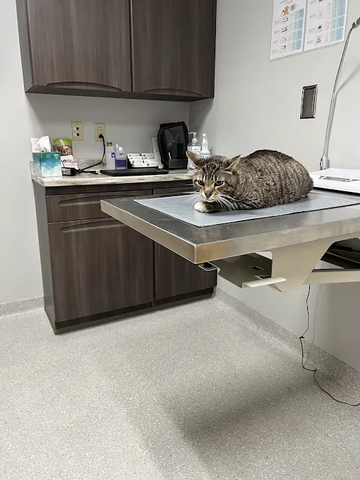 Aurora Veterinary Clinic Picture 1