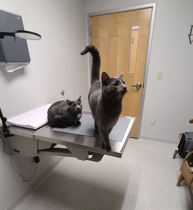 Aurora Veterinary Clinic Picture 6