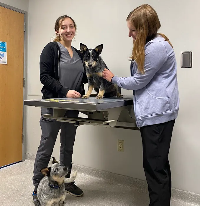 Aurora Veterinary Clinic Picture 5