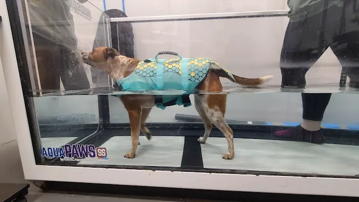 Aurora Veterinary Clinic Picture 3