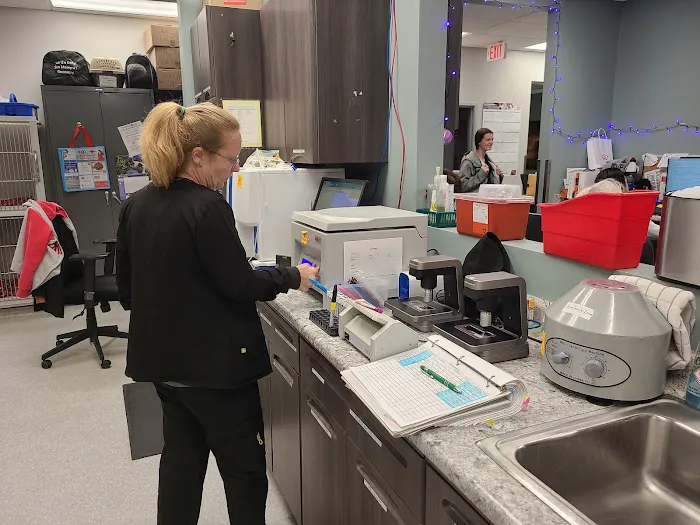 Aurora Veterinary Clinic Picture 10