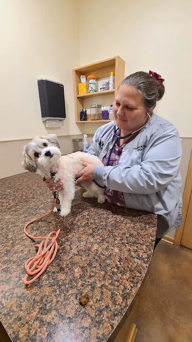 Streetsboro Veterinary Center Picture 7