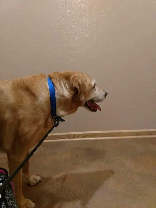 Streetsboro Veterinary Center Picture 1