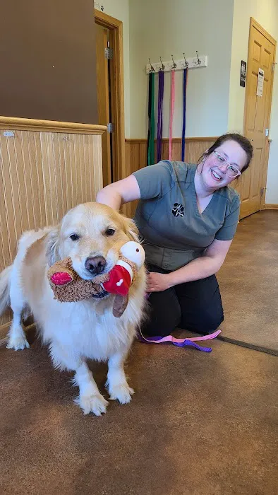 Streetsboro Veterinary Center Picture 5