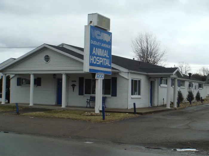 VCA Dudley Avenue Animal Hospital Picture 1