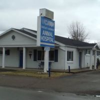 VCA Dudley Avenue Animal Hospital ico