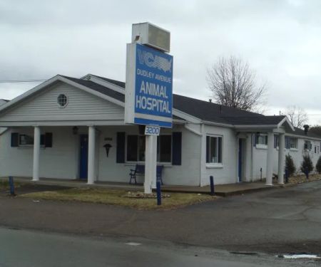 VCA Dudley Avenue Animal Hospital