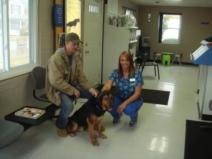 VCA Dudley Avenue Animal Hospital Picture 4