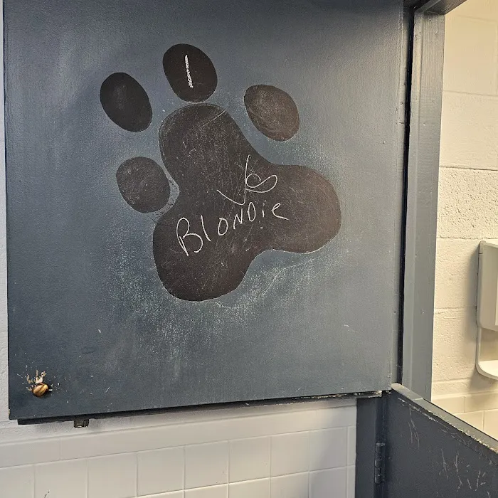 VCA Dudley Avenue Animal Hospital Picture 8