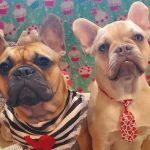 Cain Veterinary Clinics