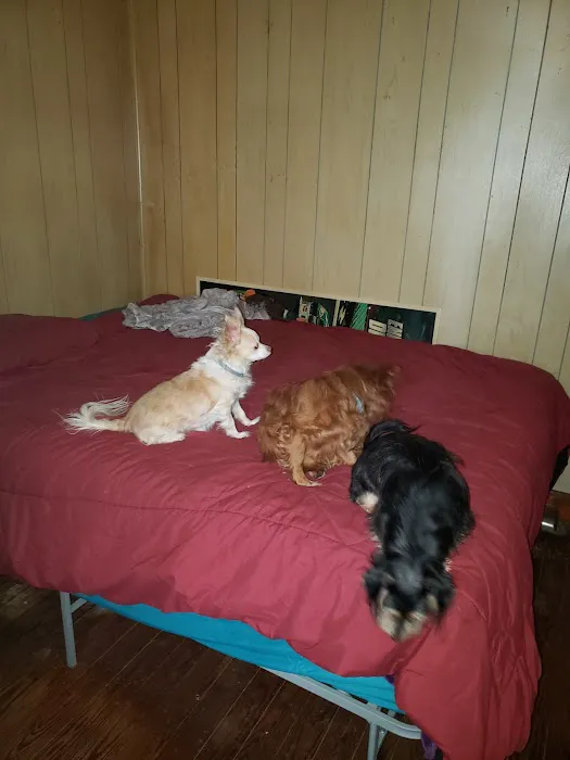 Southwood Animal Hospital Picture 2