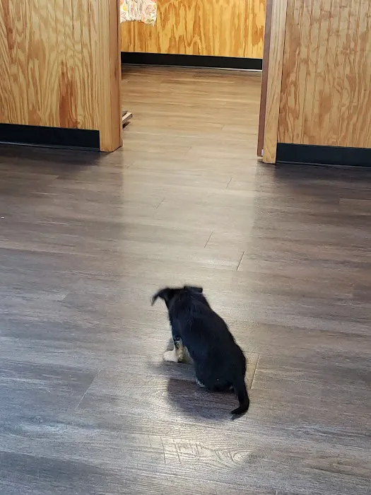 Southwood Animal Hospital Picture 5