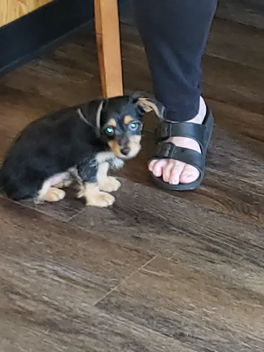 Southwood Animal Hospital Picture 7