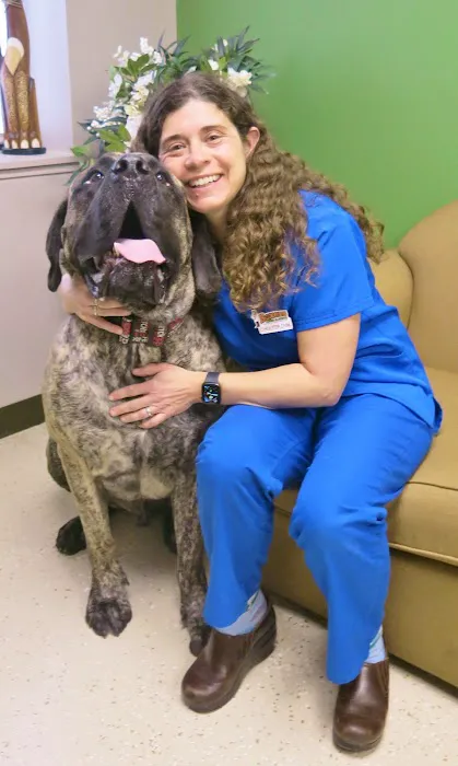 Boxers Meds & Fixits Picture 6